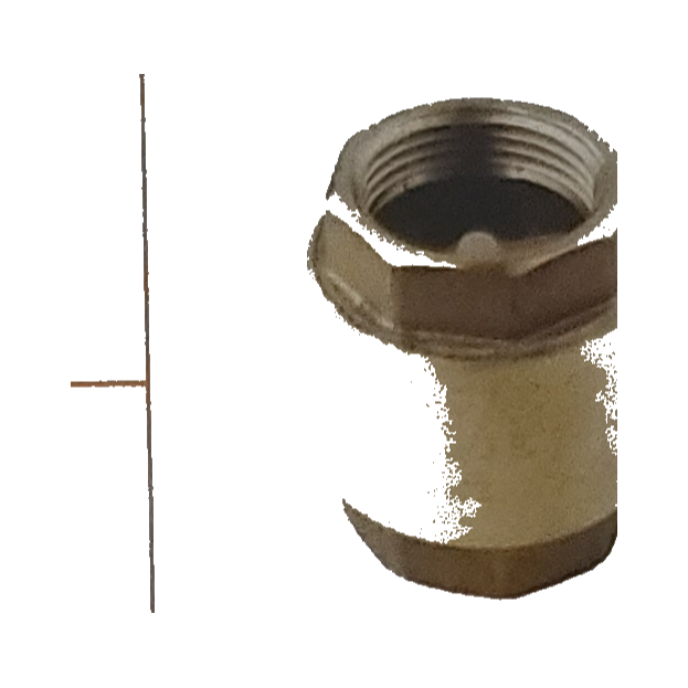 Spring Check Valve