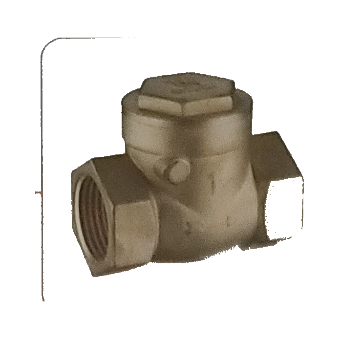 Swing Check Valve